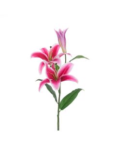 ECO Casablanca Lily Spray 88cm Rubrum