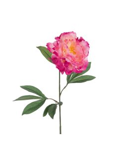 ECO Peony Stem 80cm Dark Pink