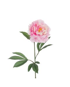 ECO Peony Stem 80cm Light Pink