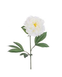 ECO Peony Stem 80cm White