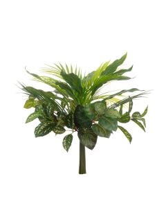 Dracaena Foliage Mix Bundle 50cm