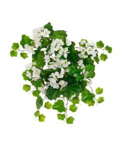 ECO Geranium Bush White 60cm UV Protected