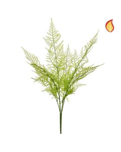 Fern Green 53cm FR