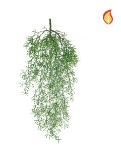 Trailing Fern 75cm FR