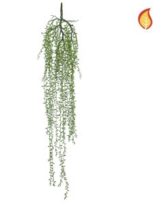 Trailing Fern 85cm FR
