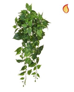 Pothos Trail 80cm FR