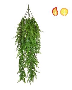 Fern Trail 80cm FR & UV