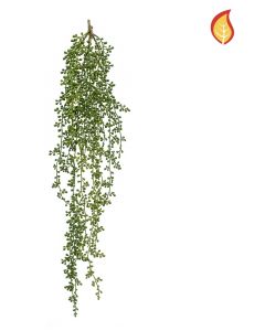 Trailing Senecio 97cm FR