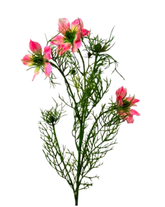 Artificial Nigella Spray 69cm Pink