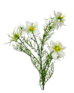 Artificial Nigella Spray 69cm White