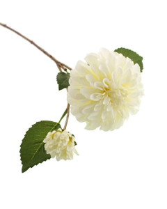 64cm Ball Dahlia With Bud Cream