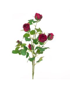 Juliet Rose Spray 70cm Burgundy