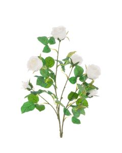 Juliet Rose Spray 70cm White