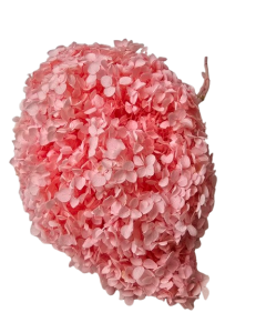 Preserved Hydrangea 25 - 30cm Light Pink