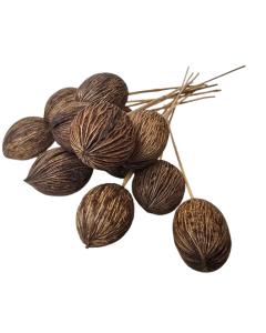 Mintola Ball On Stem x 12pcs