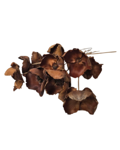 Palm Cup On Stem Natural x 10pcs