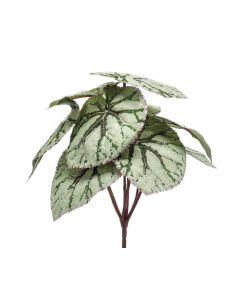 Begonia Leaves Bush Grey 25cm UV Protected