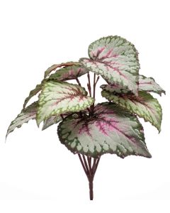 Begonia Leaves Bush Grey/Pink 25cm UV Protected