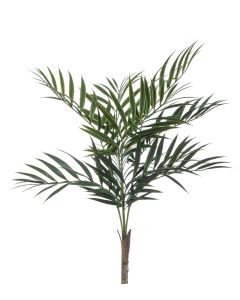 Chamaedorea Palm Bush 60cm UV Protected
