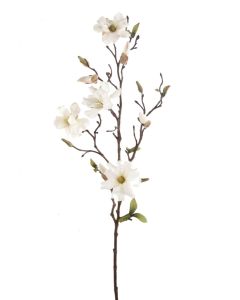 Magnolia Wild Spray Cream 75cm