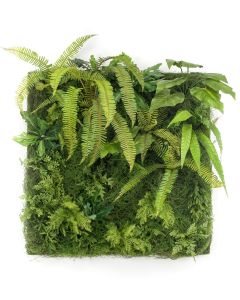 Living Wall 100 x 100cm