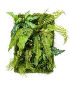 Living Wall 60 x 40cm