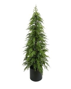 150cm Balsam Fir Tree in Planter