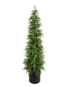 210cm Balsam Fir Tree in Planter