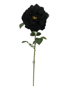 Single Velvet Open Rose - Black (75cm long)