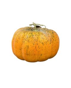 Artificial Pumpkin - Green/Orange (33cm diameter)