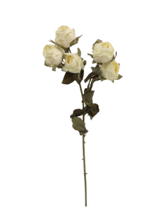 Artificial Dry Rose Bush - Ivory (43cm long with 5 heads)