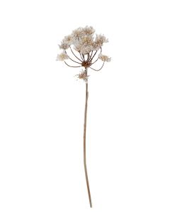 Frosty Cow Parsley - White/Brown (98cm long)