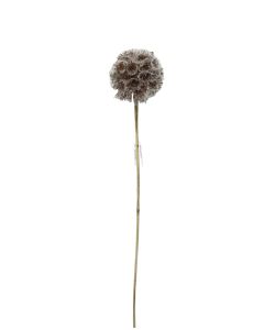 Artificial Frosted Scabiosa Pod - White/Brown (84cm long)