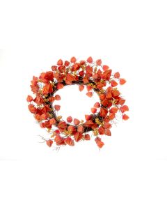 Physalis Wreath - Orange/Brown (60cm diameter)