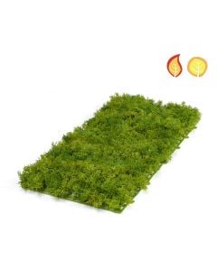 Topiary Moss Mat Grn 50x25cm FR & UV
