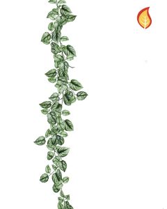 Scindapsus Garland 175cm FR