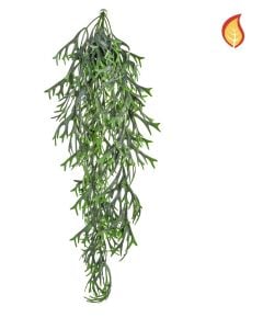 Staghorn Hanging 80cm FR