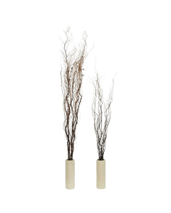 Contorted Willow 100cm x 25pcs