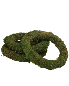 30cm (12