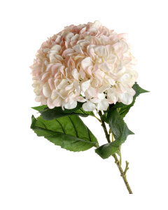 Large Hydrangea Blush Pink - 30cm Head