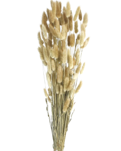 Lagarus/Bunny Tails Natural App 80g (011.01)