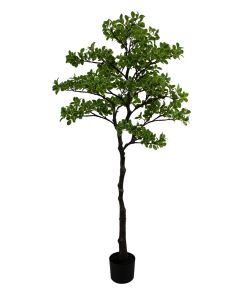 Artificial Real Touch Pittosporum Tree 150cm