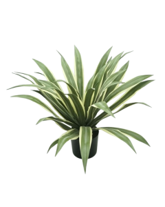UV Artificial Agave Tree Green/White 70cm