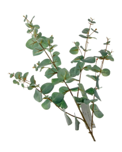 Spiral Eucalyptus Spray Green 110cm