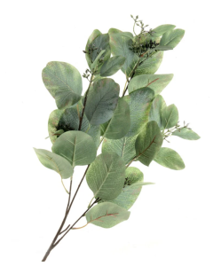 80cm Populus Eucalyptus Green 84cm