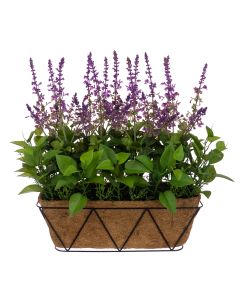 UV Lavender Window Box 52cm U-V Protected