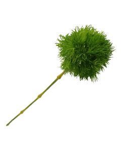 37cm Single Dianthus Green