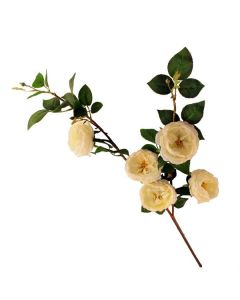 100cm Rose Spray Cream