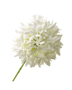 79cm Agapanthus White - Recycled