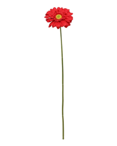Single Gerbera 72cm Red